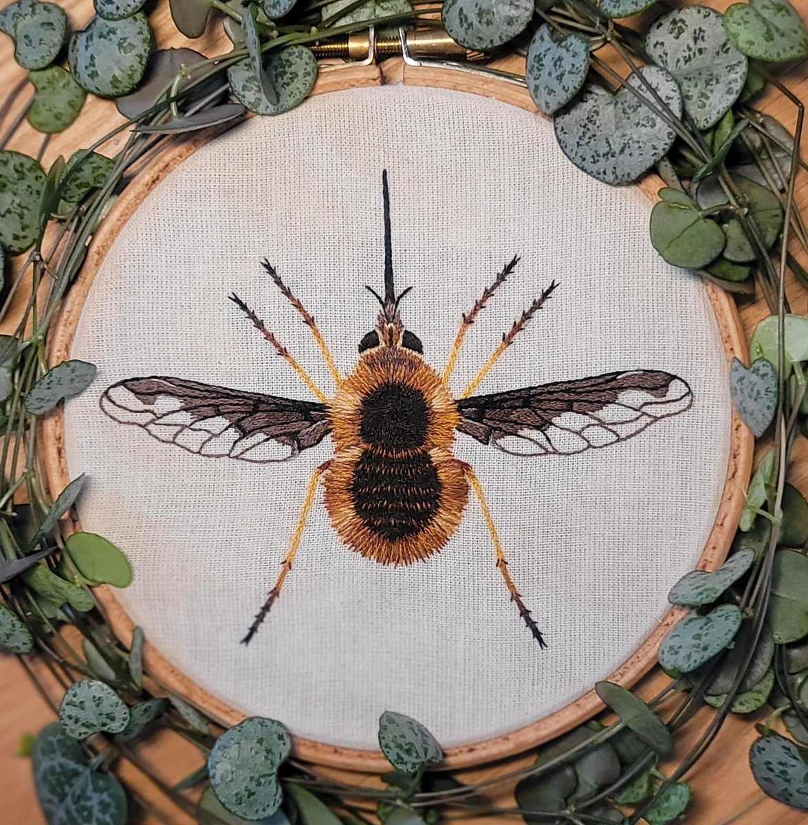 Here's my embroidered interpretation of one of my favourite insects. A female Dark-edged bee fly - Bombylius major 🧵🪡🐝🪰 #needlepainting #beeflywatch
