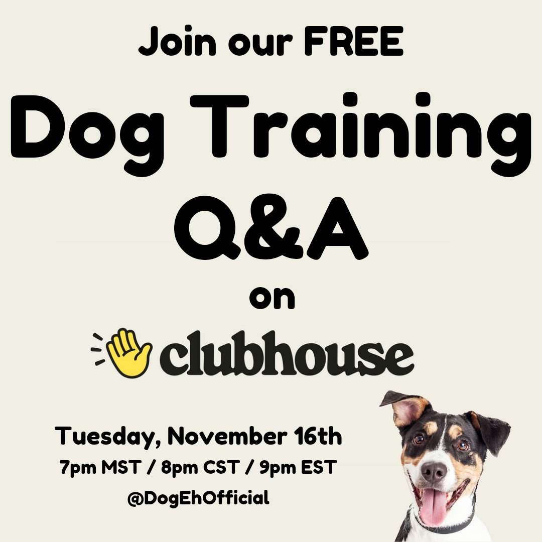 DogEhOfficial's tweet photo. Join our FREE dog training Q&A on #clubhouse tomorrow night 🤓🐶
#dogtraining #dogtrainingtips #dogtrainingtip #dogtrainingadvice #freeevent #event #qanda #liveevent #clubhouseapp #clubhouseconversations #dogtraining101 #dogtips #dogeh #dogehevent https://t.co/A8KOK5SxOj