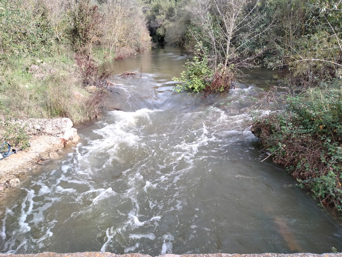cabal_ambiental's tweet photo. Durant el dimarts 2 de novembre, es va estar alliberant un cabal generador (pel Foix 3000 l/s) que va servir per moure sediments, eliminar vegetació terrestre de la llera i ajudar a la recàrrega d'aqüífers. https://t.co/z47kg5oiP5