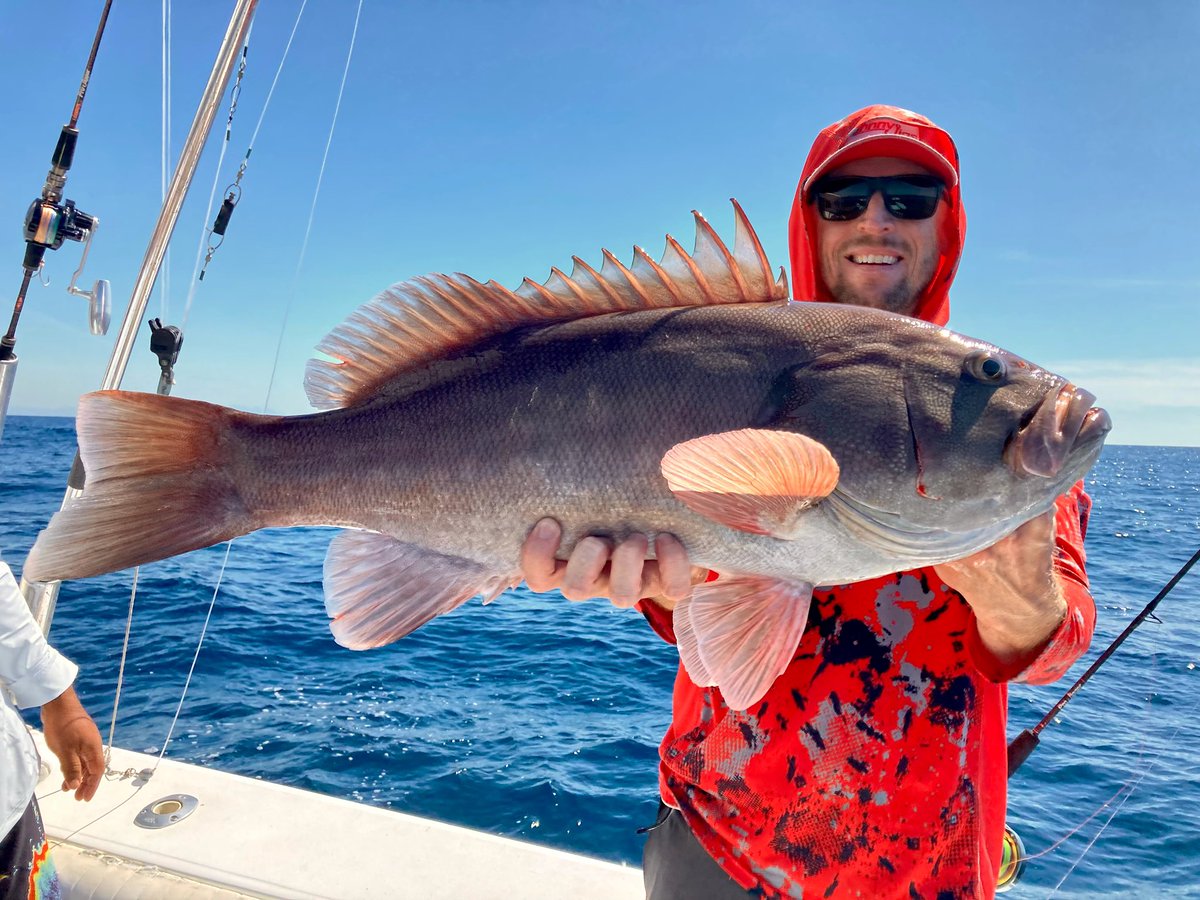 Pacific Fins tweet media