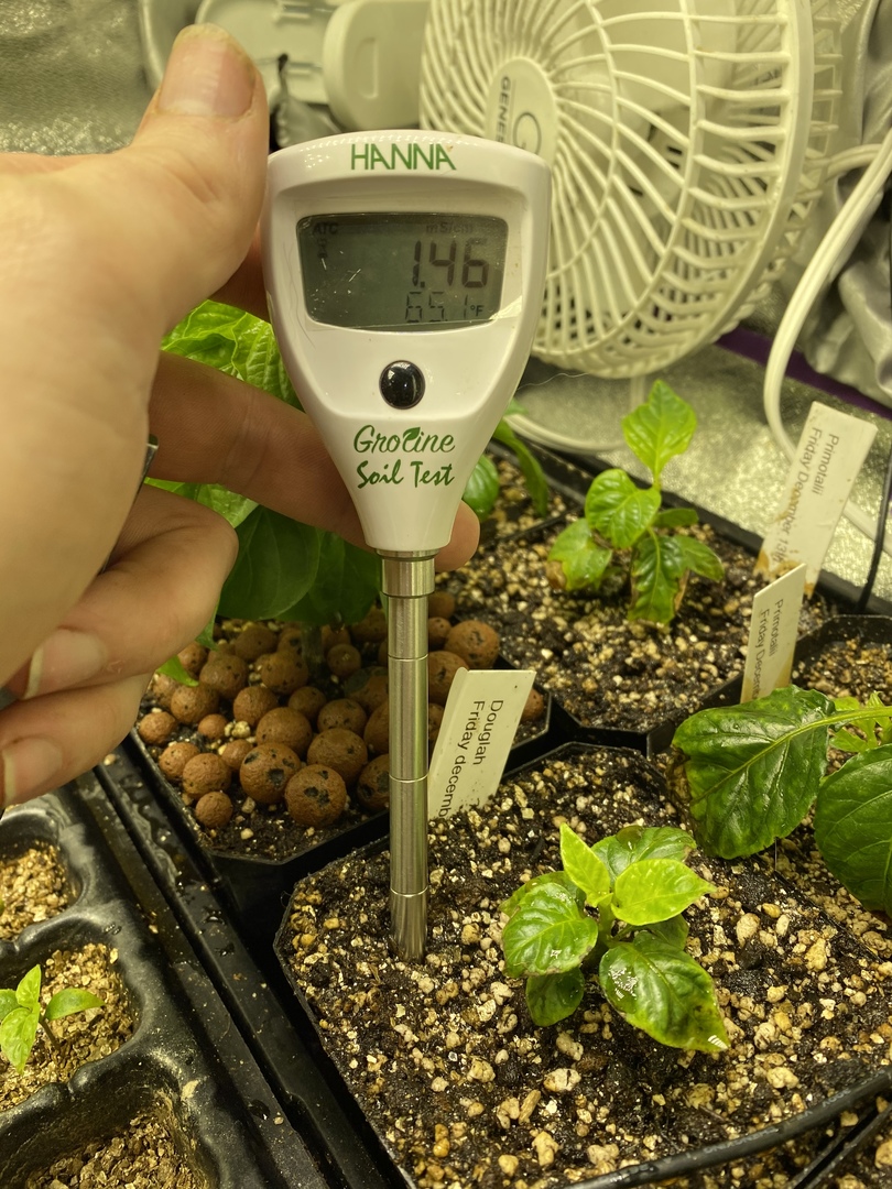 groushop's tweet photo. Medidor de conductividad para medir directamente en el terreno #medidordeconductividad #medidorec #hannainstruments #grow #cannabis #soiltest #soiltester https://t.co/9Nv3vSN2El