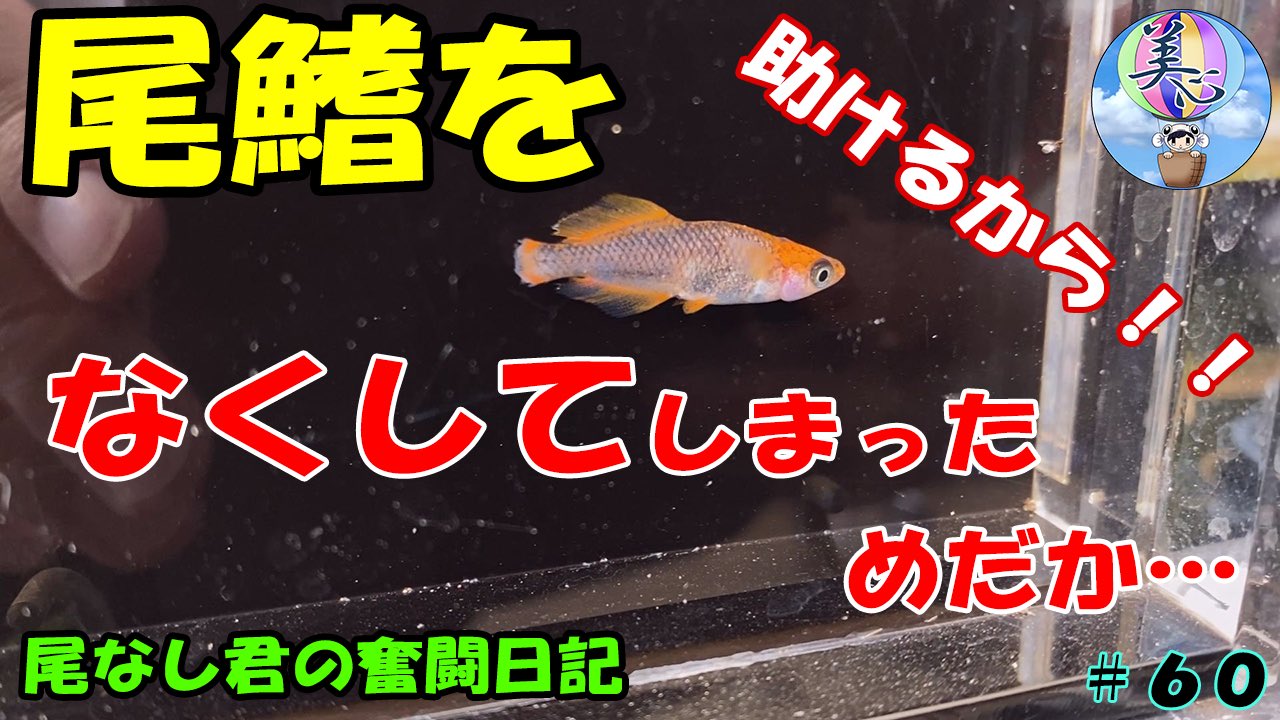 多段連結 Twitter Search Twitter
