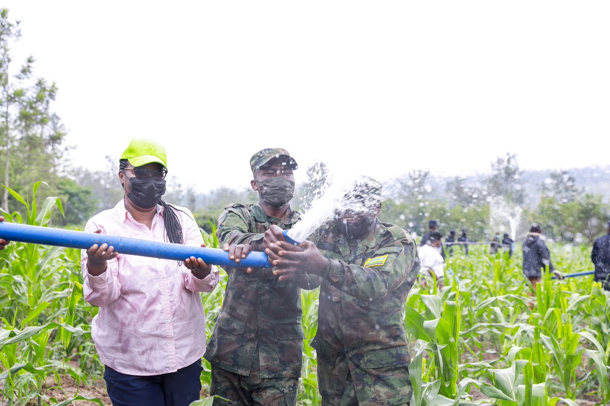 Ministry of Agriculture & Animal Resources |Rwanda tweet media