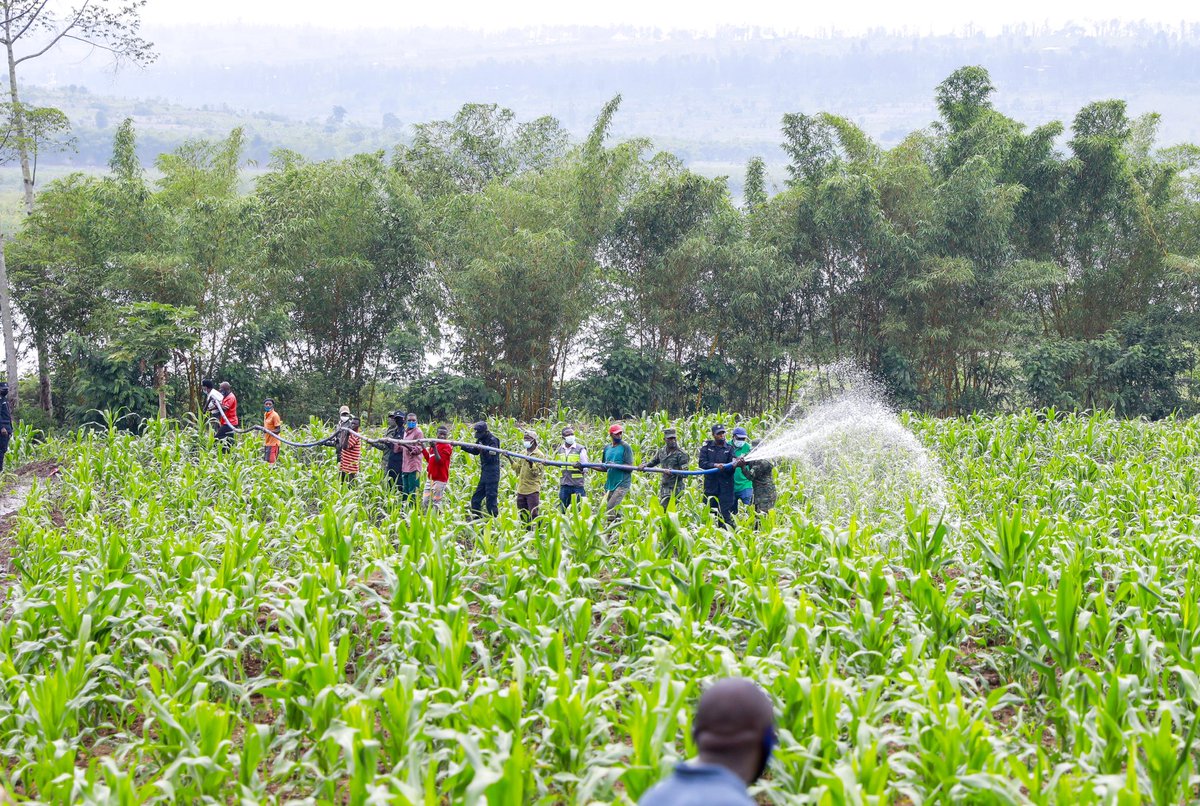 Ministry of Agriculture & Animal Resources |Rwanda tweet media