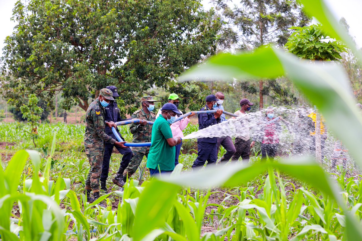 Ministry of Agriculture & Animal Resources |Rwanda (@rwandaagri) on Twitter photo Uyu munsi, Minisitiri w'ubuhinzi n'ubworozi <a href="/g_mukeshimana/">GerardineMukeshimana</a> yifatanyije n'abaturage bo mu Karere ka Bugesera bahinga ibigori kuri site ya Keza mu murenge wa Mareba mu bukangurambaga bwo kuhira imyaka hagamijwe guhangana n'ingaruka z'imvura nke zatewe n'imihindagurikire y'ikirere. Uyu munsi, Minisitiri w'ubuhinzi n'ubworozi <a href="/g_mukeshimana/">GerardineMukeshimana</a> yifatanyije n'abaturage bo mu Karere ka Bugesera bahinga ibigori kuri site ya Keza mu murenge wa Mareba mu bukangurambaga bwo kuhira imyaka hagamijwe guhangana n'ingaruka z'imvura nke zatewe n'imihindagurikire y'ikirere.