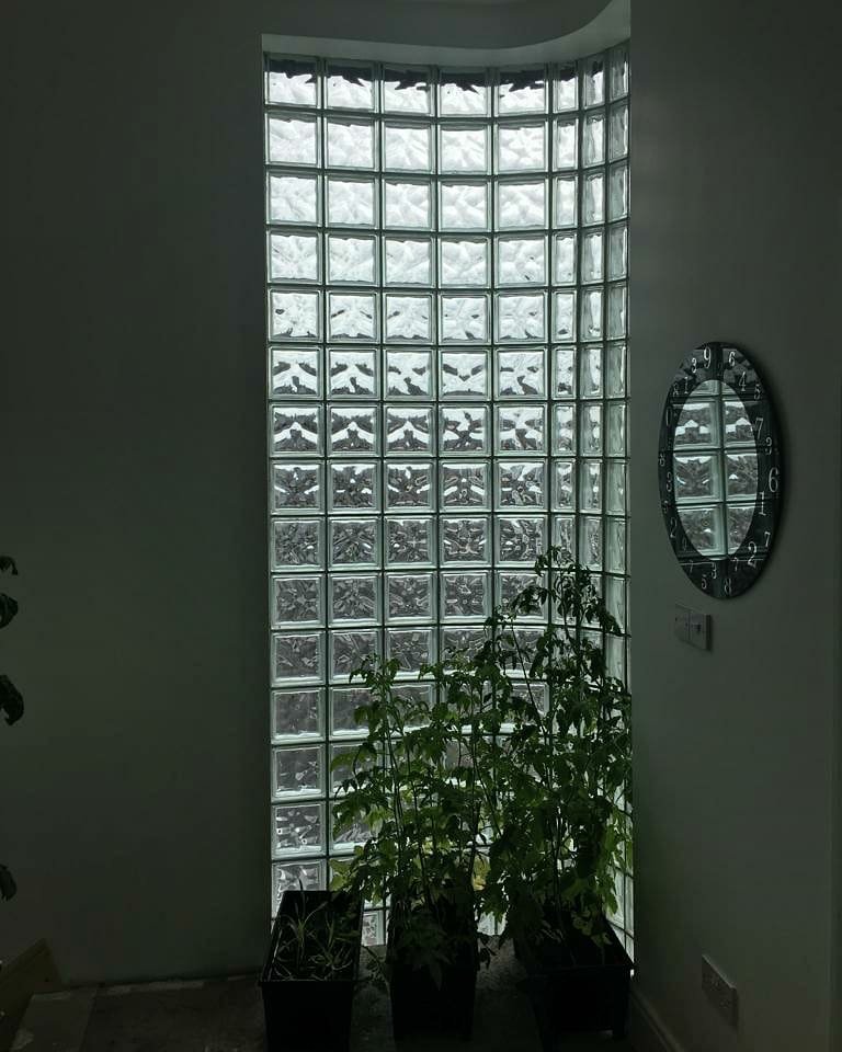 GlassBlockCo's tweet photo. Large domestic installation to a house in Naas. 👌

#glassblocks #glassblockco https://t.co/REZT18K0PW