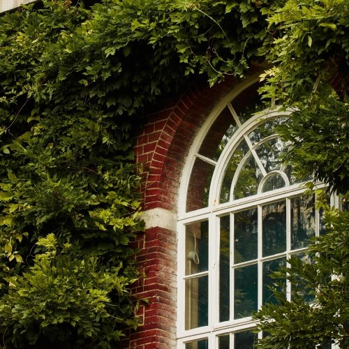 regentsuni's tweet photo. Discover what makes us special – we call it the Regent’s difference. Explore our leafy central London campus in person, and meet the leaders supporting our mission: to develop tomorrow’s global leaders.
RSVP now to secure your visit.
https://t.co/UihXnP2gCA
#RegentsDifference https://t.co/hmvtq7wdiI