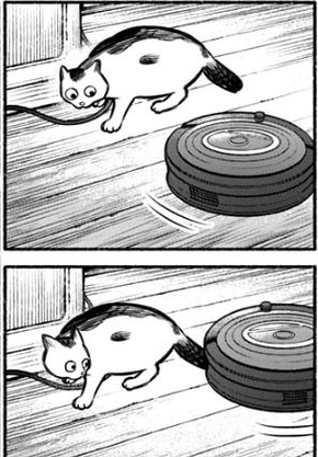 _leastweasel's tweet photo. cat from gokushufudou: the way of the house husband https://t.co/NEXRcY4v3p