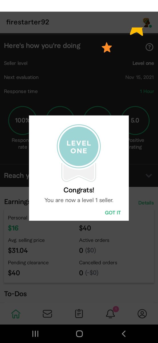 November is just going to keep giving. Finally made it on Fiverr as a Level One Seller 🎉🎉🎉