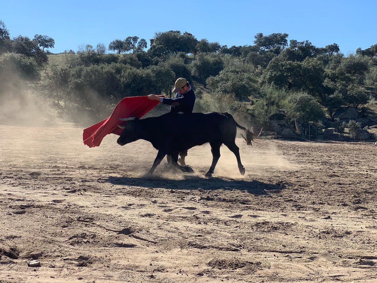 Retienta a campo abierto! Con nuestro amigo y torero <a href="/DFelFandi/">David Fandila</a>