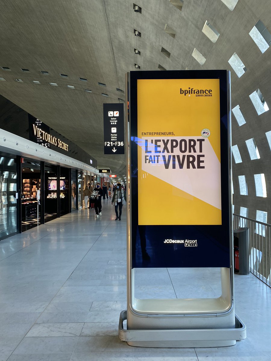 Pedro Novo tweet media