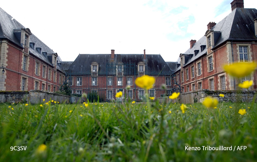 Agence France-Presse tweet media