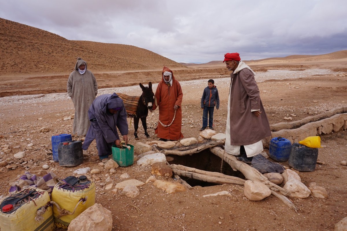 Illume Oy tweet media