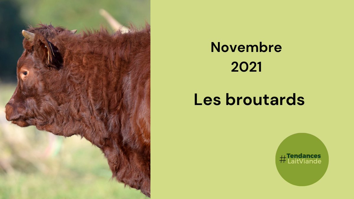 #PrixDesBroutards 🐂

Les #PrixDesBroutards 🐂 stagnent. Pourtant, les #MarchésExports sont aux #achats ↗, grâce à la bonne valorisation des #AnimauxFinis 🐂, notamment en Italie 🇮🇹.

+ d'infos : tendances-lait-viande.fr
#EconomieDesFilièresHerbivores