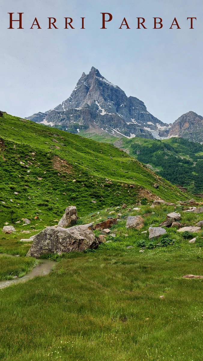 PakistanDestin2's tweet photo. Shounter Valley, Kashmir
خوبصورت ترین وادی 🌹💗💚🏔

#KsClick
#PakistanBeautiful
#PDT

Video Link 👇
https://t.co/HIZYhvhSWW https://t.co/XqqxZvKsIM