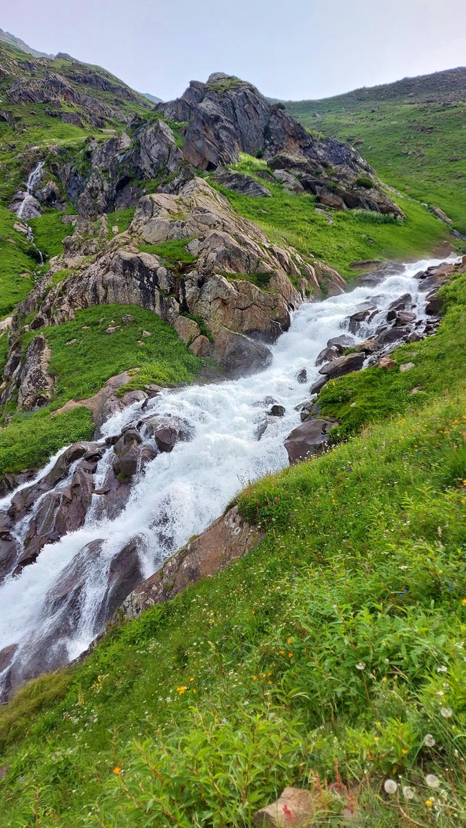 PakistanDestin2's tweet photo. Shounter Valley, Kashmir
خوبصورت ترین وادی 🌹💗💚🏔

#KsClick
#PakistanBeautiful
#PDT

Video Link 👇
https://t.co/HIZYhvhSWW https://t.co/XqqxZvKsIM