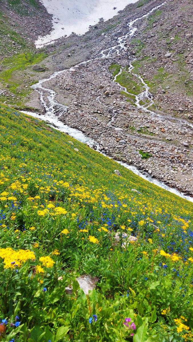PakistanDestin2's tweet photo. Shounter Valley, Kashmir
خوبصورت ترین وادی 🌹💗💚🏔

#KsClick
#PakistanBeautiful
#PDT

Video Link 👇
https://t.co/HIZYhvhSWW https://t.co/XqqxZvKsIM