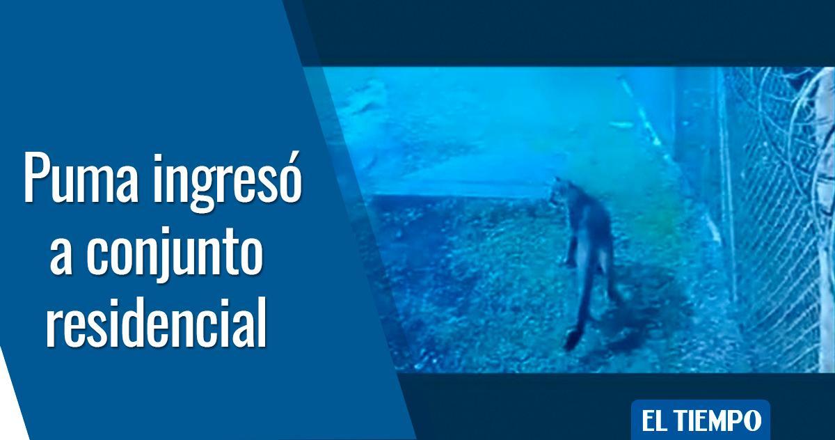 EL TIEMPO tweet media