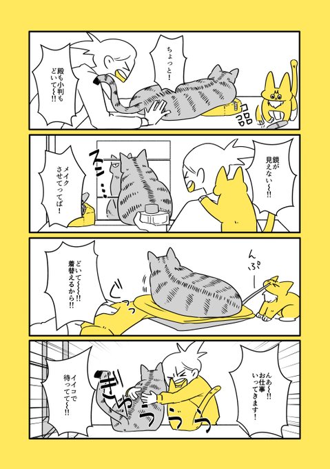 猫と子猫と毎朝の攻防 
https://t.co/ZpL86hDIvH 