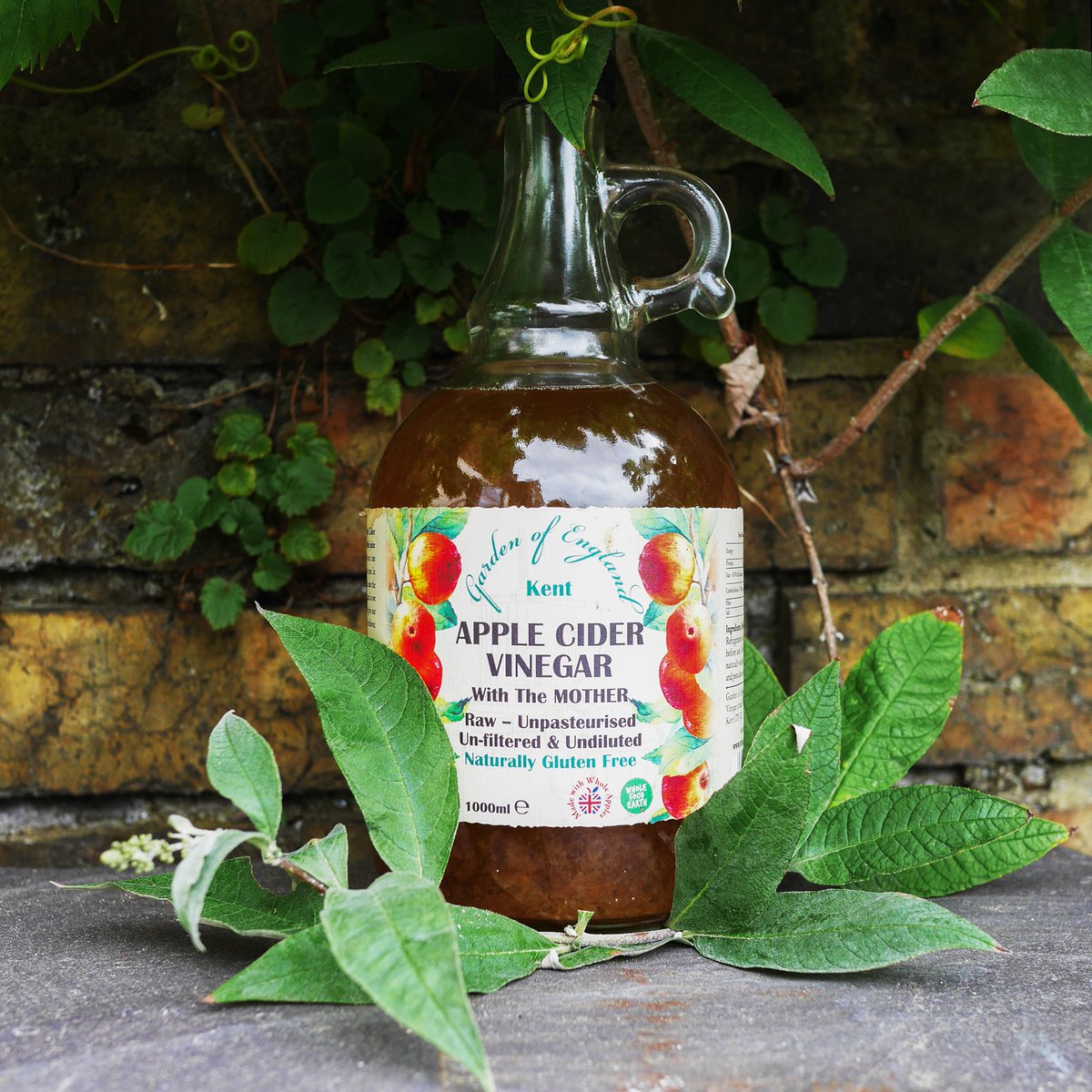 The term 'The Mother' refers to the good bacteria that turn apples into vinegar during the fermenting process and consists of dozens of strains of bacteria and enzymes great for our tummies.  👉🏻ow.ly/Li1I50GNtZ0 and learn more about Apple cider vinegar health benefits.