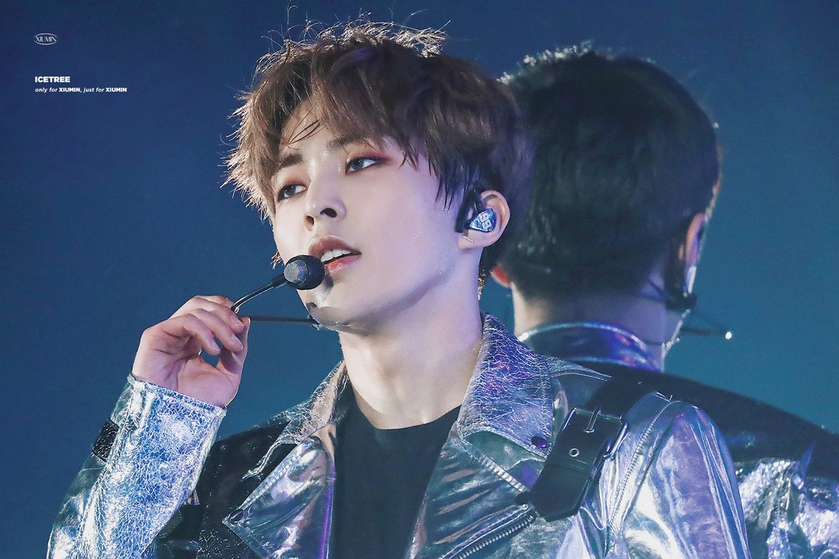 얼음나무 / ICE TREE 🦋 tweet media