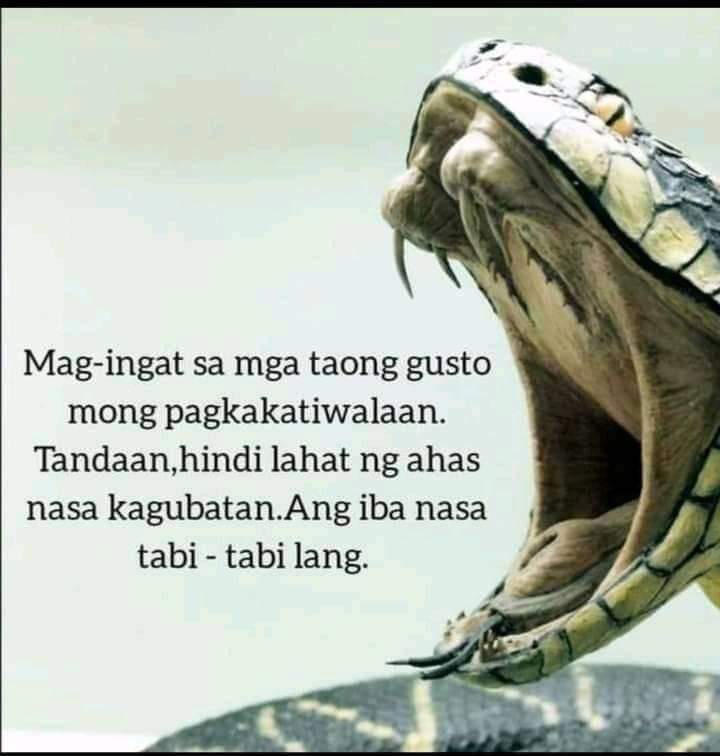 Ahas Tagalog Quotes Where In The Philippines Can You Hear People