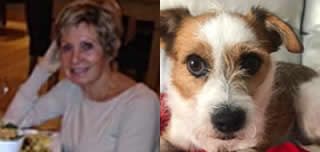 info_pearl's tweet photo. #PearlMcKight is CEO of #SomethingSpanish and Trufa her #rescuedog is Vice CEO. #rentjaveavilla or #rentmorairavilla a lovely area one of the healthiest places to live according to the #WHO book your #2022holiday now for #holidayinspain all #villawithprivatepool https://t.co/mMZVlQ1t3H