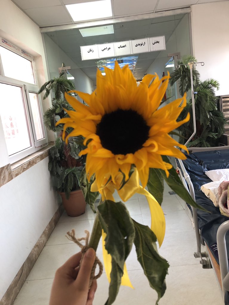 kholechel's tweet photo. خسته بیای بیمارستان ببینی منتظرت وایستاده
قشنگ روزم ساخت🥺♥️ https://t.co/1LStLFA0Qv