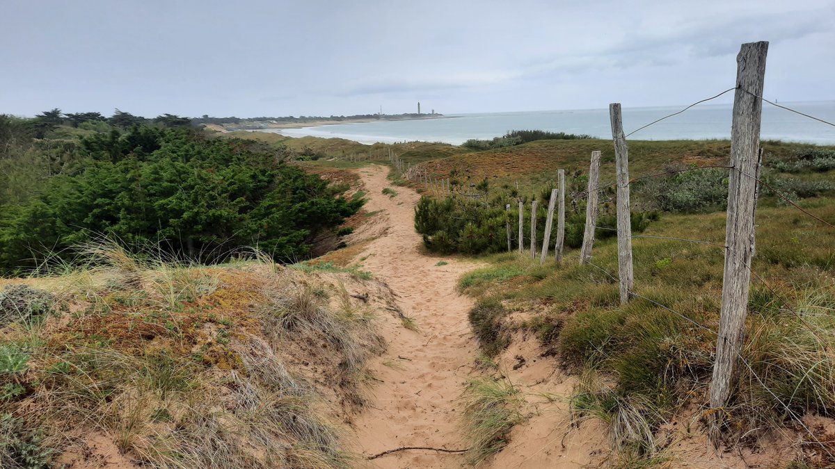 ➡️New #SIMAtlantic factsheet: Communication on maritime spatial plans. 

simatlantic.eu/wp-content/upl…

Summarises our case study of the #Gironde Estuary and Pertuis Sea Marine Nature Park in France.