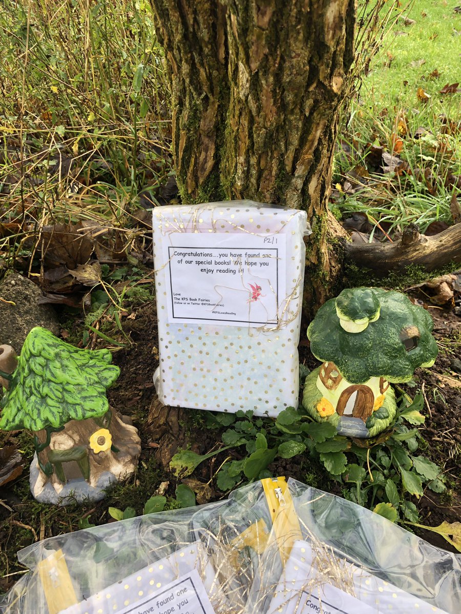 KPSBookFairies's tweet photo. There is a surprise waiting for the @kpsnurseryclass and the P1-2 children! #KPSLovesReading ❤️🧚🏻‍♀️ #BookWeekScotland @scottishbktrust @MrsODonnell_KPS @MrsnicholsonKPS @kps_misswalsh https://t.co/LXK5weyk3M