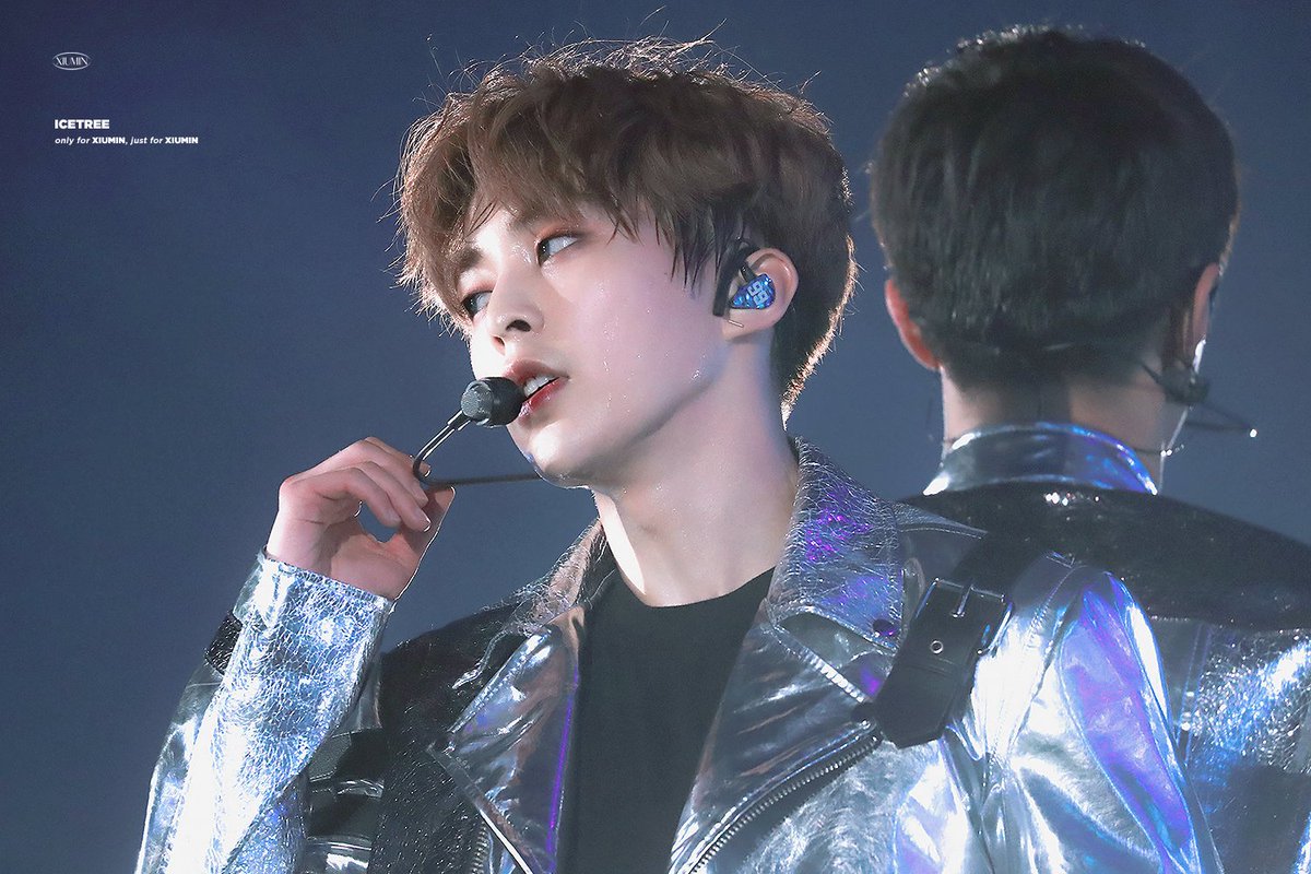 얼음나무 / ICE TREE 🦋 tweet media