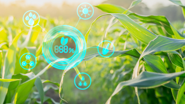 AlltechSpain's tweet photo. 🤔☝️ Los consumidores cada vez hacen más preguntas sobre la comida en la mesa: ¿Dónde han producido lo que voy a comer? ¿Cómo fue producido? ¿Protegiendo el medio ambiente?

¿Cómo puede la AgTech mejorar la producción agroalimentaria sostenible? 🚜

▶️ https://t.co/r3dGgBHhCH https://t.co/2s0NTzUoB4