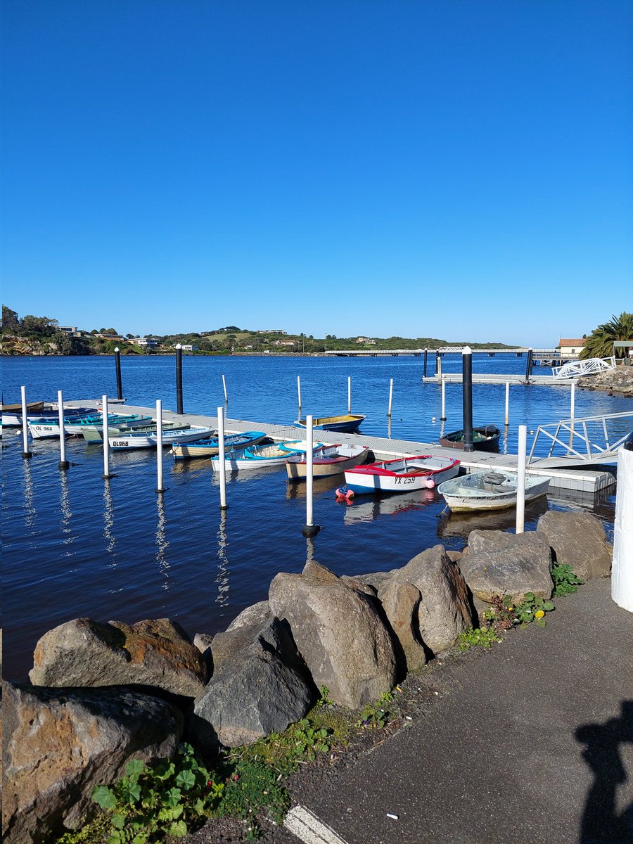 Ann Goode tweet media