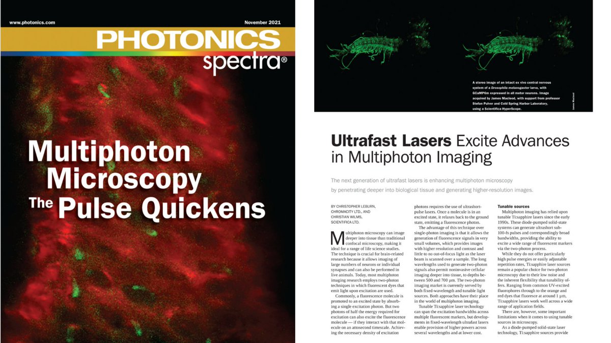 chromacityltd's tweet photo. Ultrafast lasers are driving advances in multiphoton imaging. Read our joint editorial with @Scientifica_Int in the November issue of Photonics Spectra. #chromacity #ultrafast #lasers #microscopy #photonics https://t.co/bp0f9uil6P @PhotonicsMedia https://t.co/IQXhSmFMW5