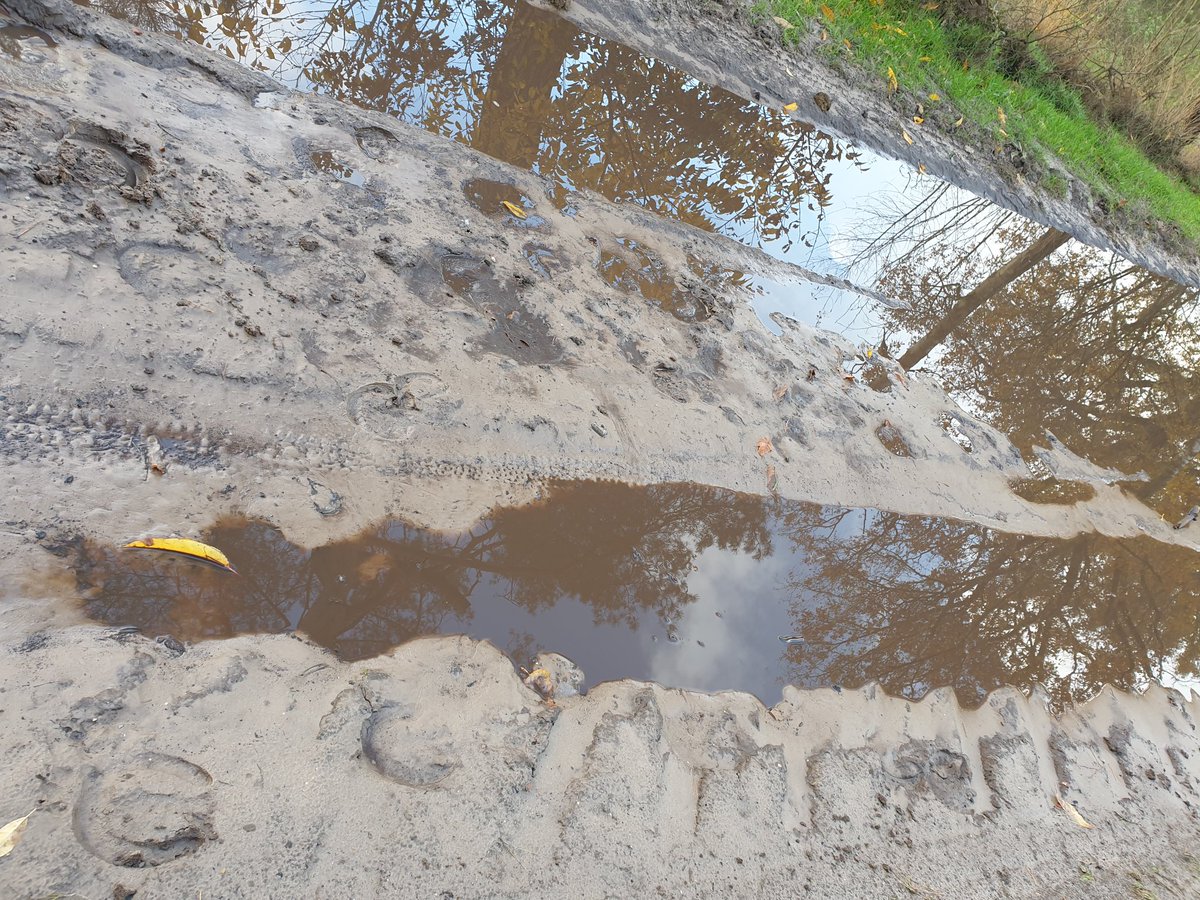 marcomout's tweet photo. En toen kwam ik de 'Modderplas' van M.C. Esscher tegen. Sinds 1952 betrekkelijk weinig veranderd.

#kunst
#Esscher
#fietsen https://t.co/bnshO5ZTTz