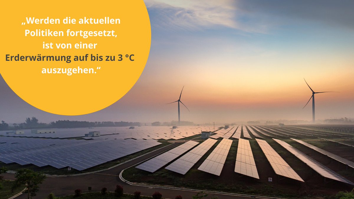 World Future Council tweet media