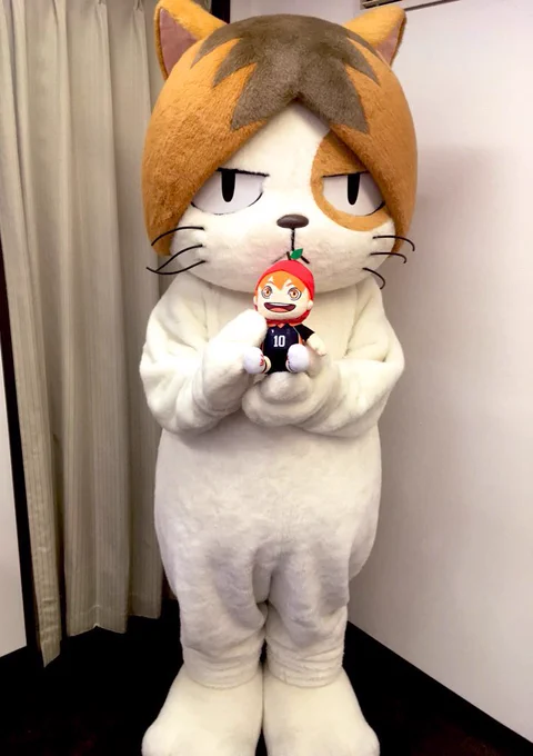これはあぬめいとカフェで🍎な日向くんをだっこする研磨ぬこ 