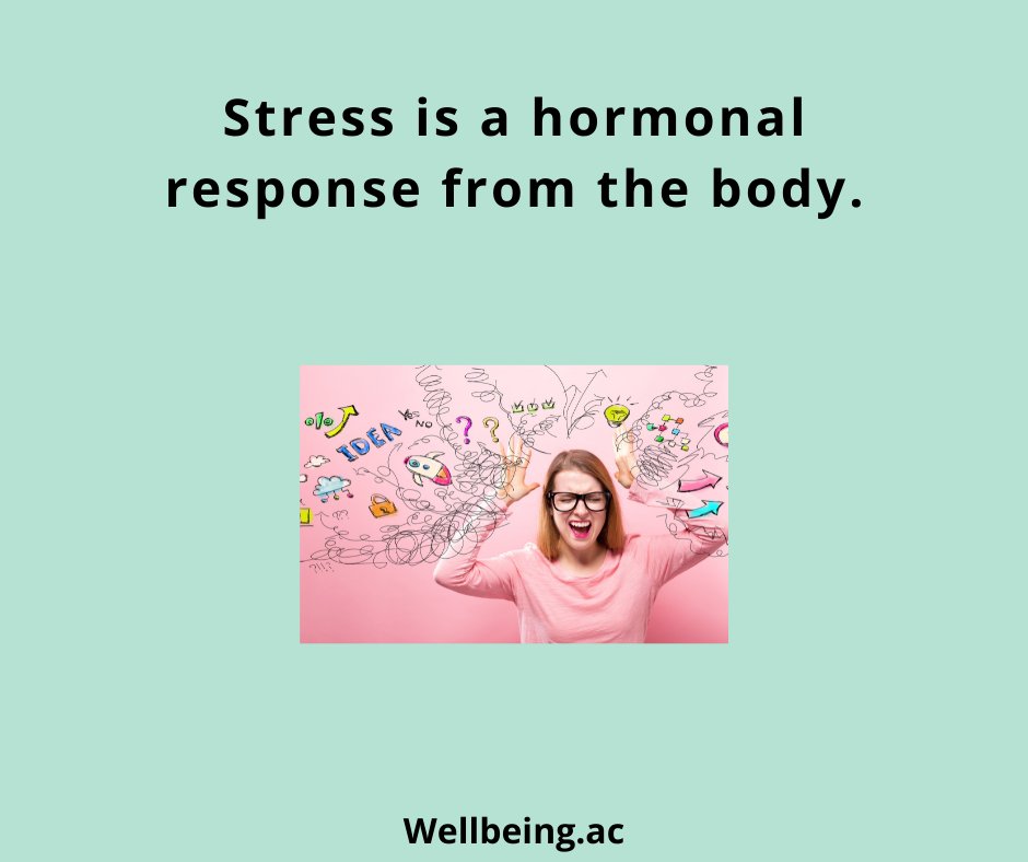 GoFlocker's tweet photo. Your body naturally creates stress hormones. Produced by the endocrine system, these hormones — including cortisol and adrenaline — help you react to situations that require a quick increase of energy and attention. 
.
.
.#wellbeingacademy #stress #yoga #anxiety #meditation https://t.co/CB85sEWPrK