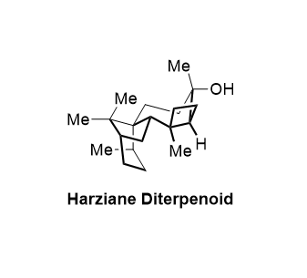 Waser Group (@lcsolab) on Twitter photo What a way to start the week! <a href="/EmmaGabRobert/">Emma Robert</a> challenged us with the total synthesis of Harziane Diterpenoid performed by the <a href="/CarreiraGroup/">CarreiraGroup</a> and published in <a href="/angew_chem/">Angewandte Chemie</a> in 2020!
Take a look: epfl.ch/labs/lcso/wp-c… What a way to start the week! <a href="/EmmaGabRobert/">Emma Robert</a> challenged us with the total synthesis of Harziane Diterpenoid performed by the <a href="/CarreiraGroup/">CarreiraGroup</a> and published in <a href="/angew_chem/">Angewandte Chemie</a> in 2020!
Take a look: epfl.ch/labs/lcso/wp-c…