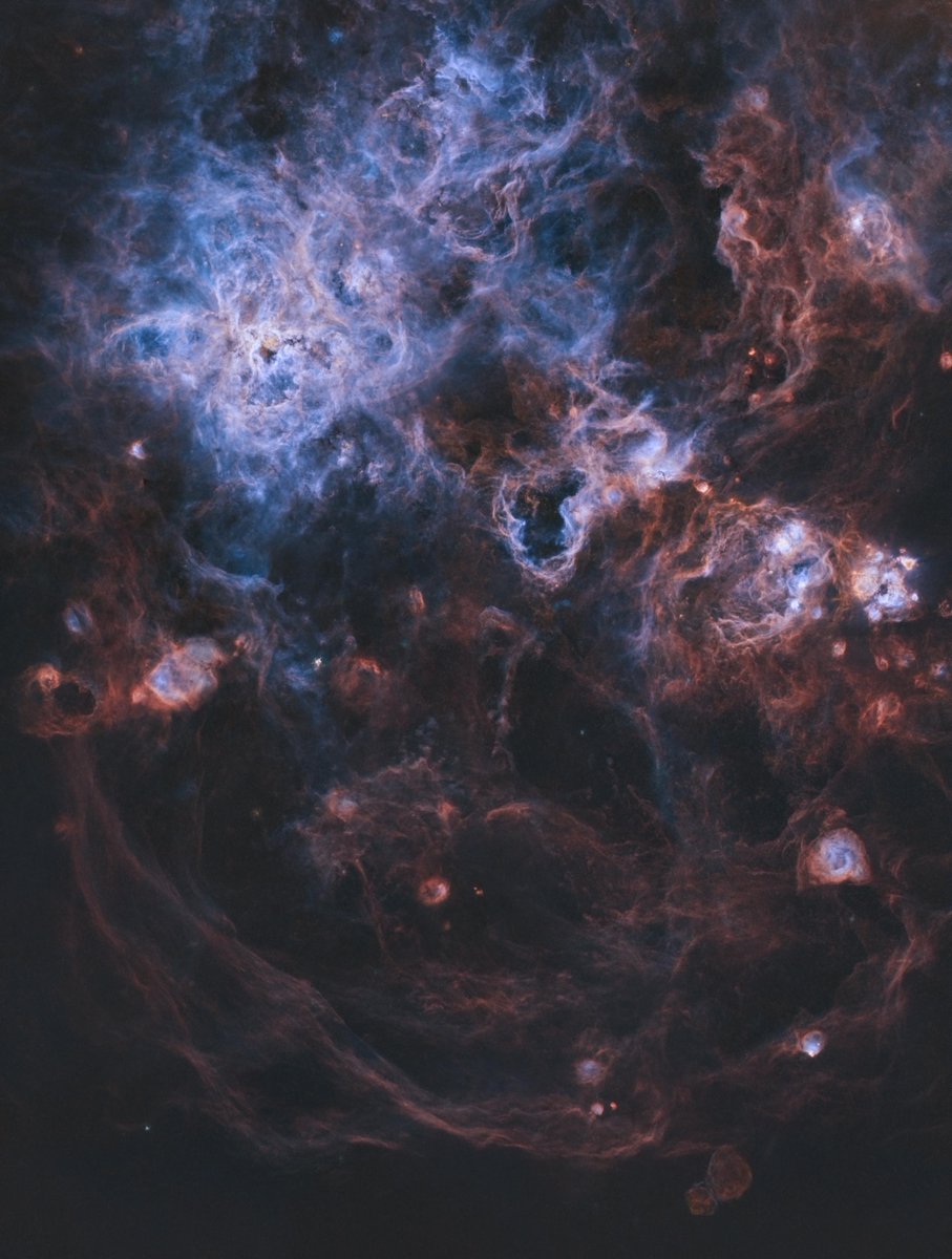 Space tweet media