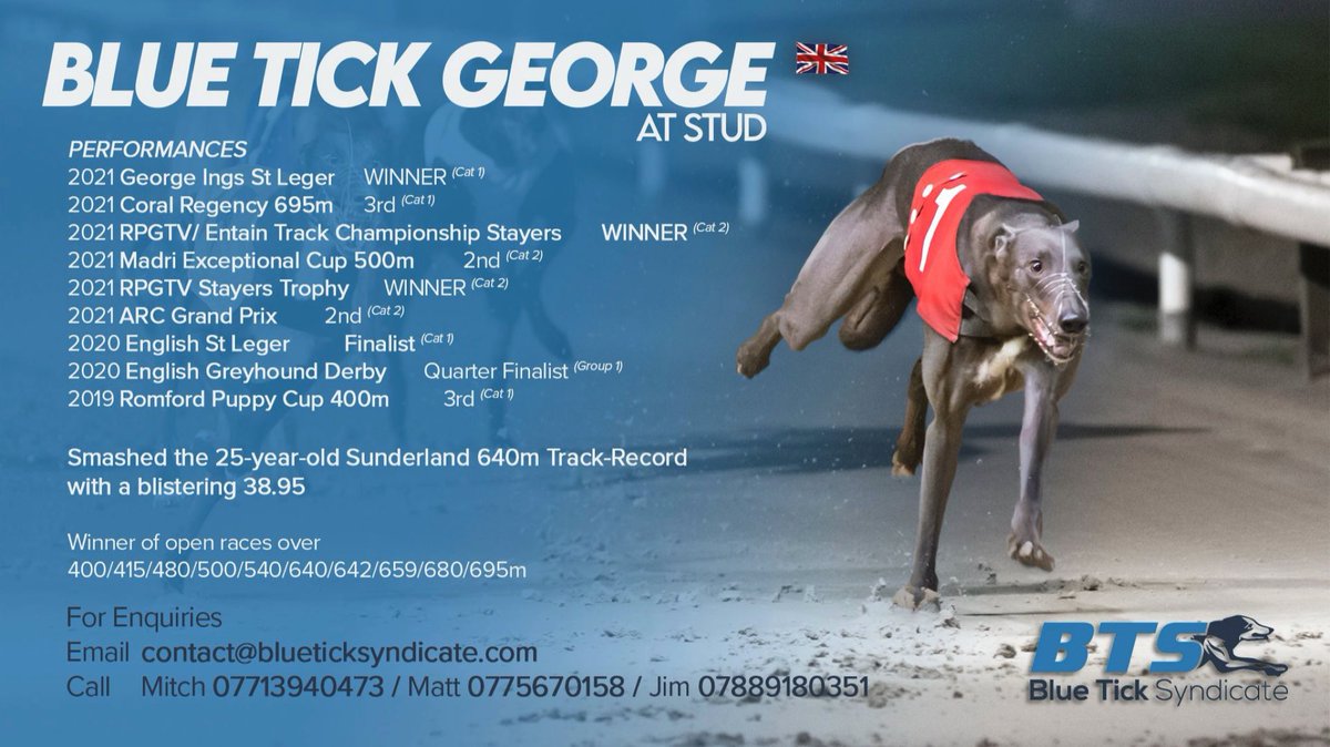 Blue Tick Syndicate tweet media