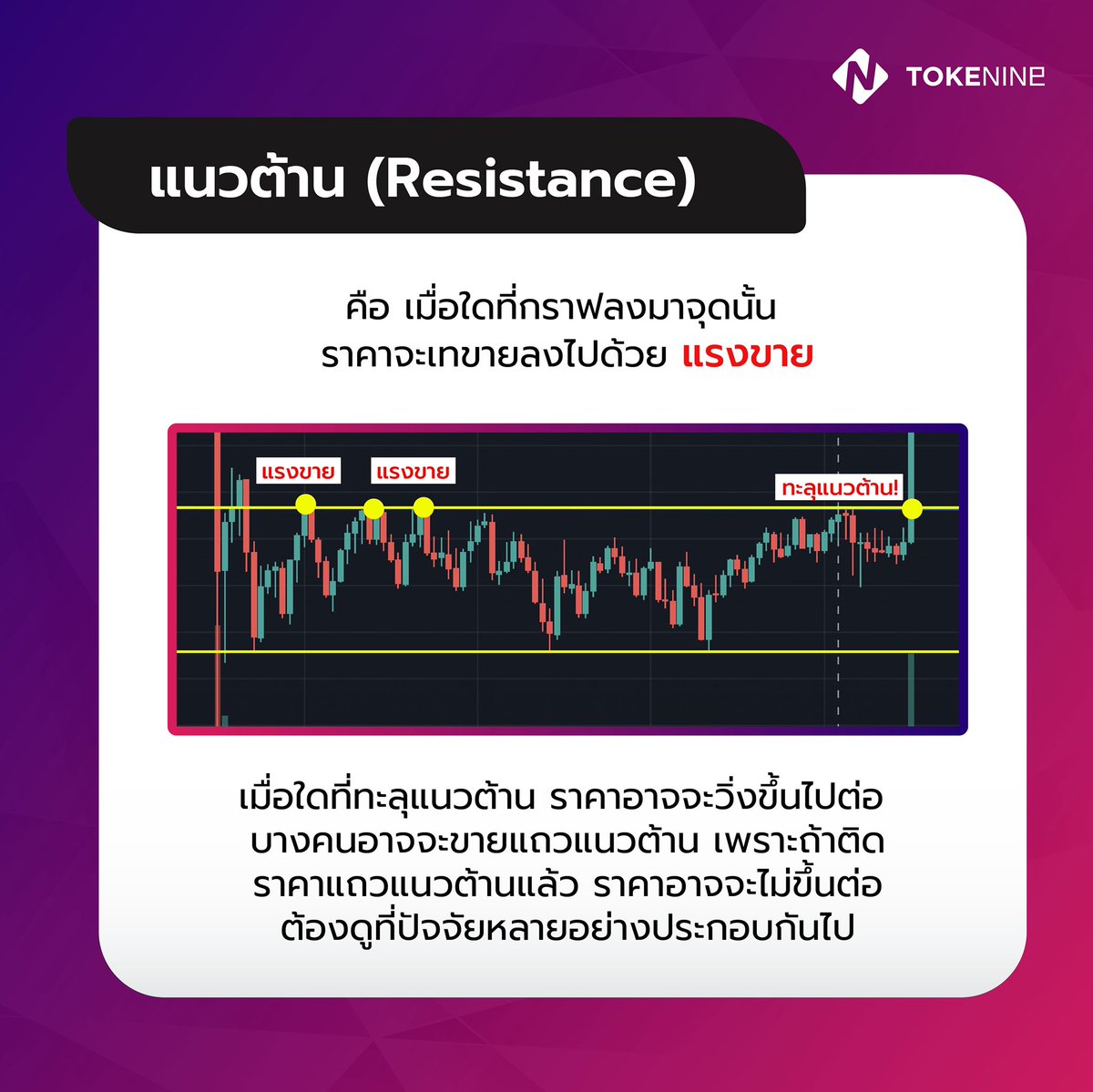 Tokenineth's tweet photo. การดูแนวรับ แนวต้าน ในการเทรดถือเป็นเรื่องที่สำคัญมากๆ ส่วนใหญ่เราจะตั้งซื้อในแนวรับ และตั้งขายที่แนวต้าน มาลองดูกันว่ามีว��ธีดูได้อย่างไร #tokenization #tokenine #คริปโต #ลงทุน https://t.co/oGTGz6Oqw0