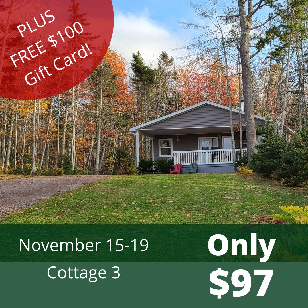 Inn The Woods Cottages tweet media