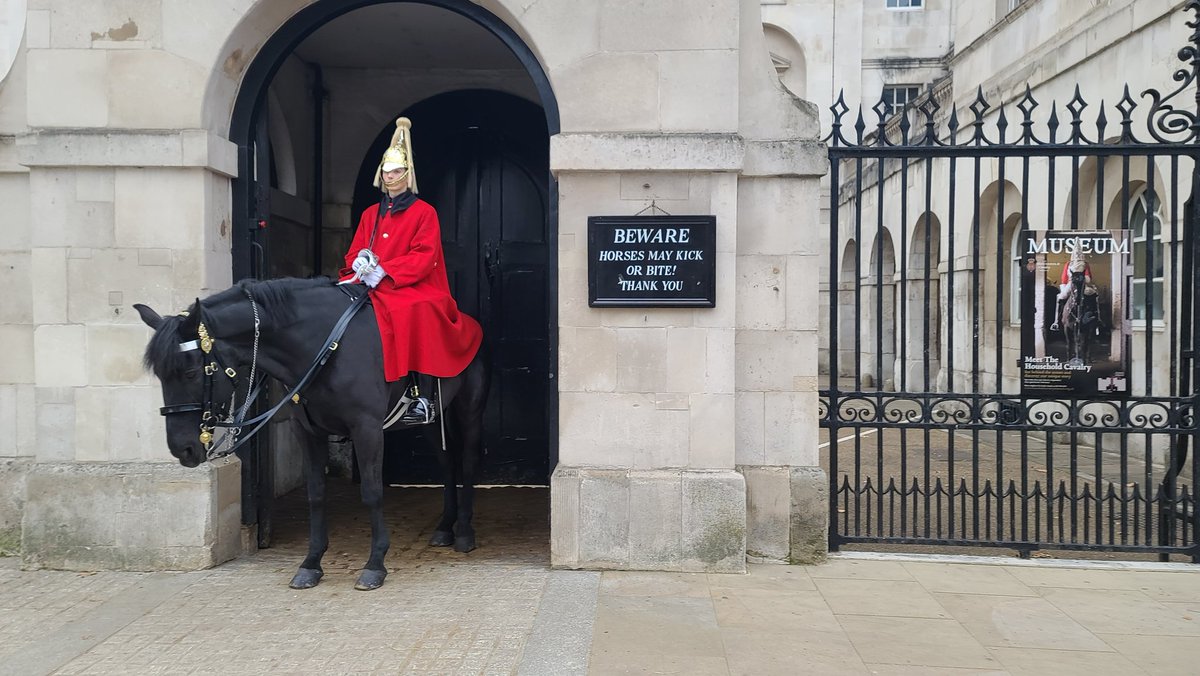 ibxtoycat's tweet photo. Idk why security horses aren't more commonly used, it's 100% safe behind them and so clearly the reason it's safe is because of the equestrian based protection https://t.co/7HsaLIkkit