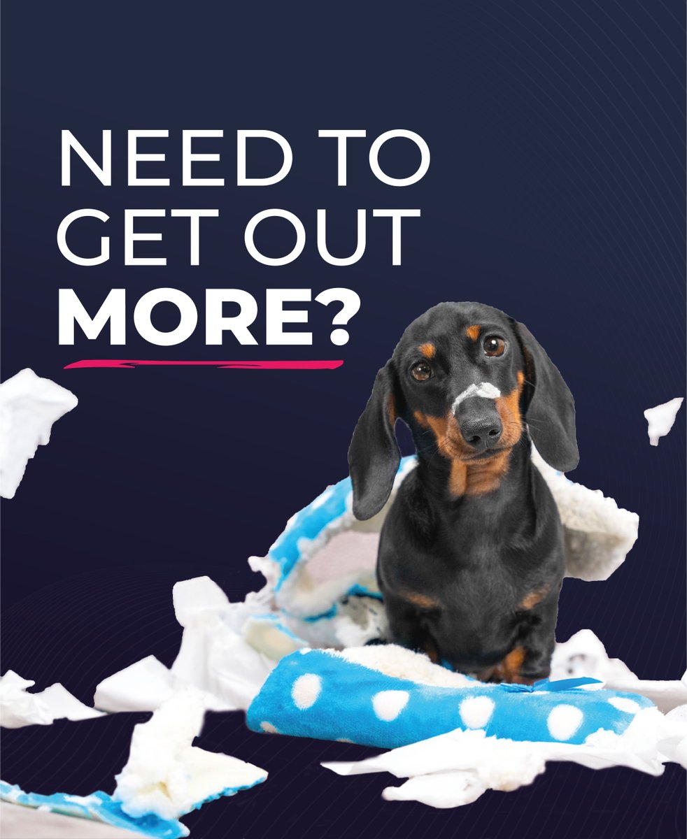 Keep your pooch happy - download Zump to find a home near the best walks. buff.ly/3EY04J8