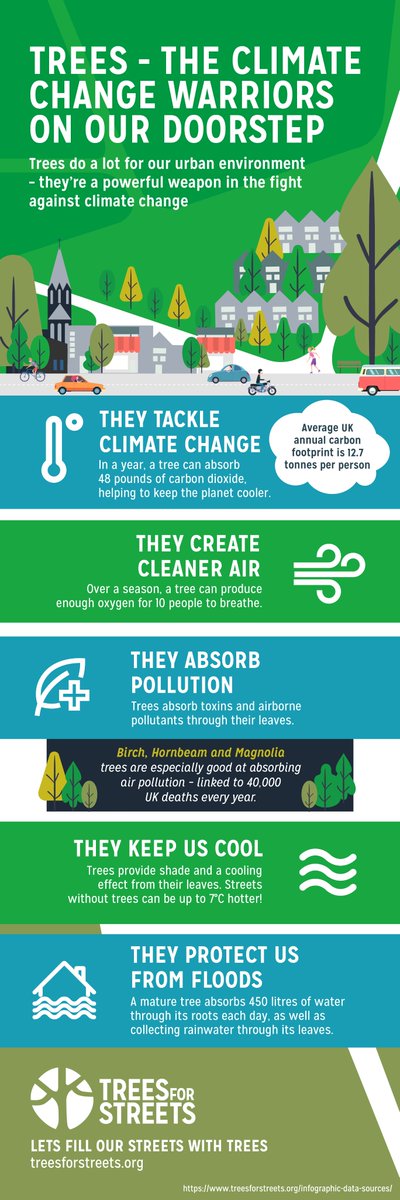 Street trees are amazing - these are just a few of the environmental benefits they bring to our neighbourhoods: