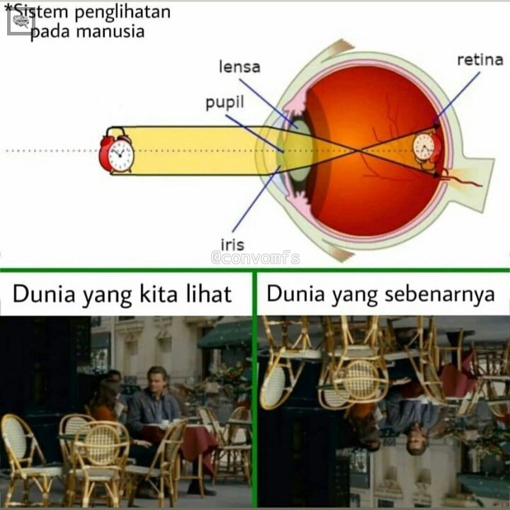 convomfs tweet picture