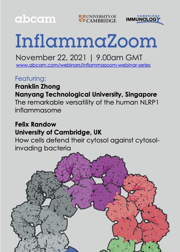 Clare Bryant (clarebryant@bsky.social) tweet media