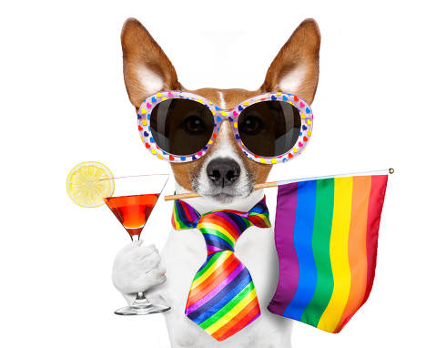 Alex_andtheAnts's tweet photo. I can't stand when homophobes argue that being #LGBTQ is unnatural - not only is it natural in people, it's natural in animals too! 🏳️‍🌈

Same sex sexual behaviour has been observed in over 1,500 animal species, including primates, snakes and sea stars! #2021EBE #behaviour https://t.co/Ld2Hu7OmFl