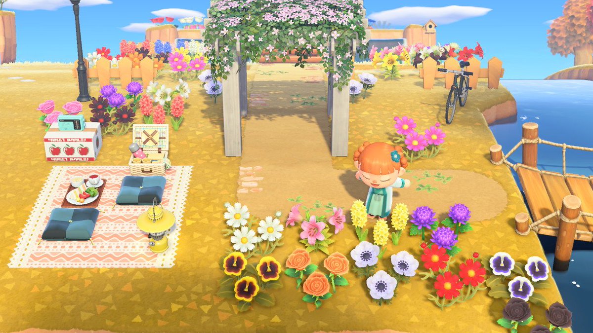 IreneesAC's tweet photo. La zona de florecillas 💐🌺 https://t.co/of4xJFFR87